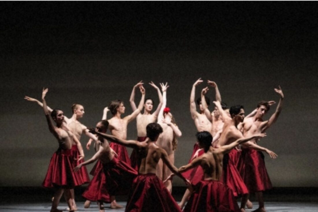 Ópera de París -  Ballet Junior