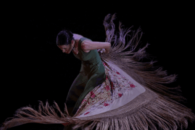 Imagen de Aquellas que habitan en mí