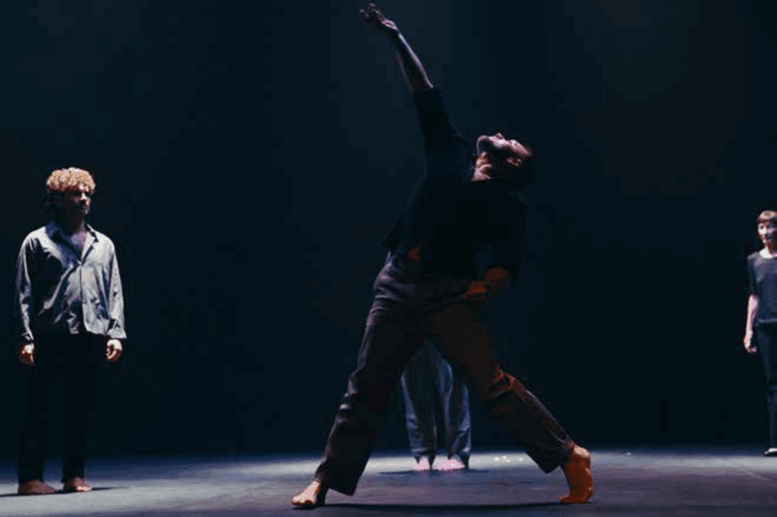 Delicada caída - Provisional Danza / Carmen Werner