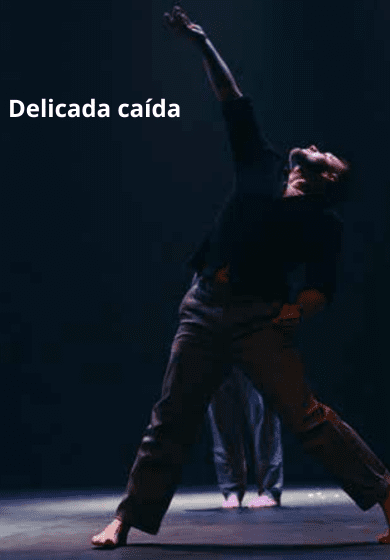 Delicada caída - Provisional Danza / Carmen Werner