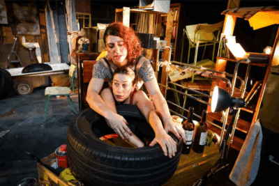 Imagen de Euforia y desazón