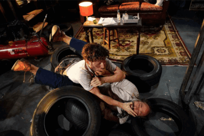 Imagen de Euforia y desazón