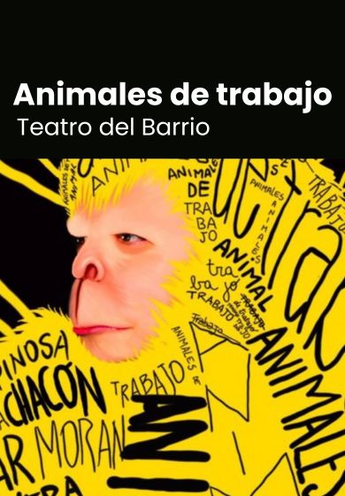 Animales de trabajo