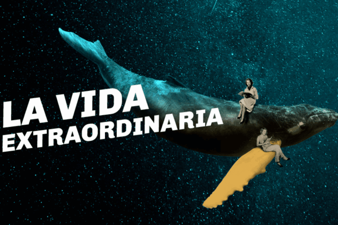 La vida extraordinaria