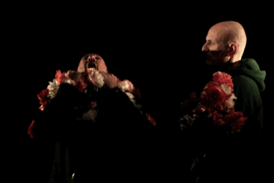 Imagen de Tantas flores de Chevi Muraday y Alejandro Palomas