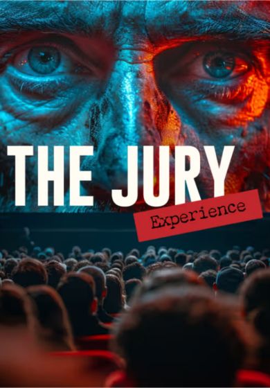 The Jury Experience