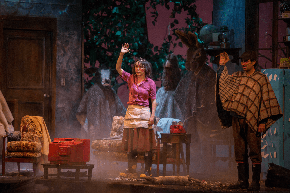 Imagen de Labio de liebre