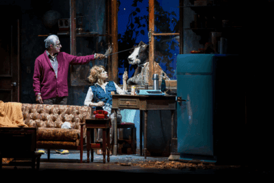 Imagen de Labio de liebre