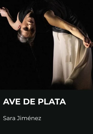 Ave de plata