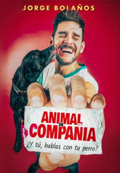 Animal de compañía → Teatro Soho Club