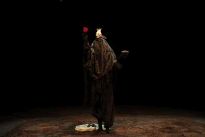 Imagen de Empusa Abelha