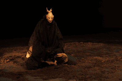 Imagen de Empusa Abelha