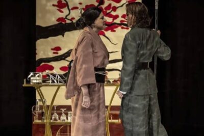 El veneno del teatro