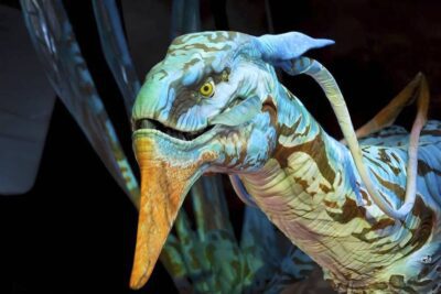 Avatar: The Experience