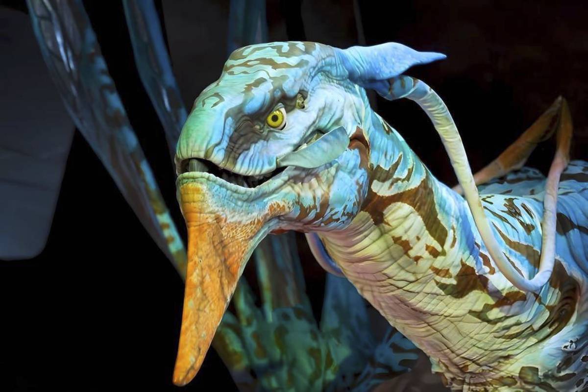 Avatar: The Experience