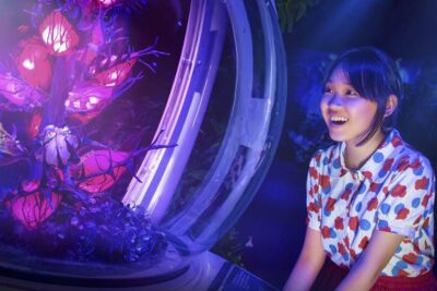 Avatar: The Experience