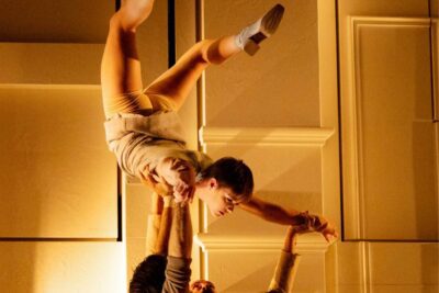 Entre chiens et louves