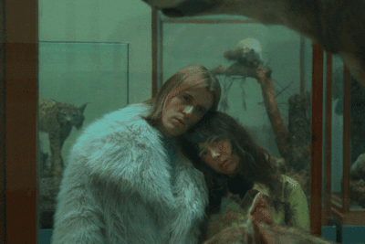 Imagen de Taxidermia de una alondra