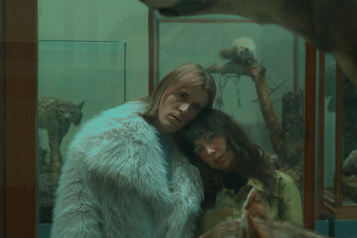 Imagen de Taxidermia de una alondra