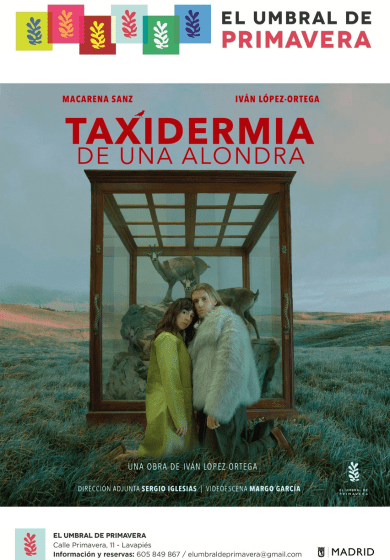 Taxidermia de una alondra