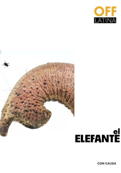 El elefante → OFF Latina