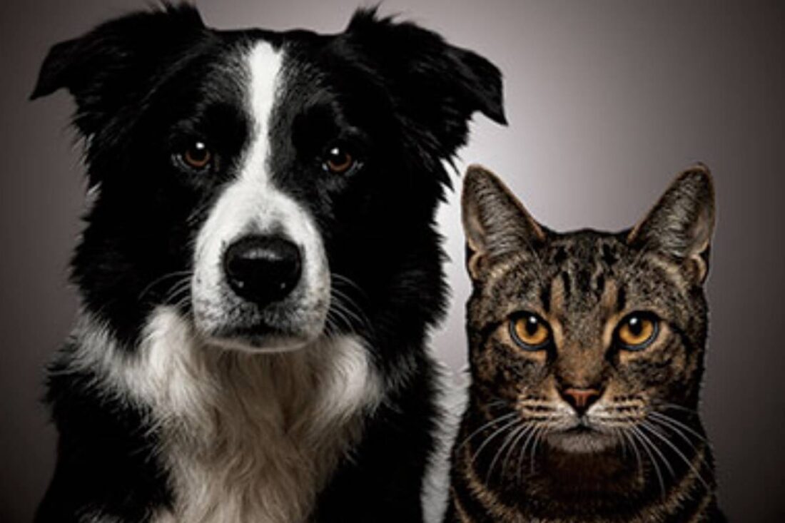 La extraña pareja. Devoradores Teatro