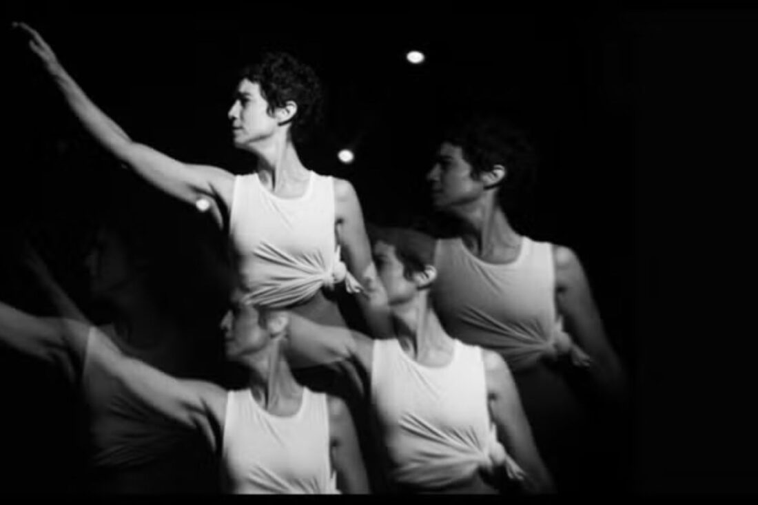 Bestias - Carla Novi