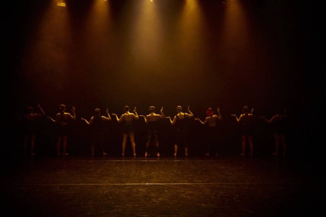 Nuevas caras / Caras nuevas V