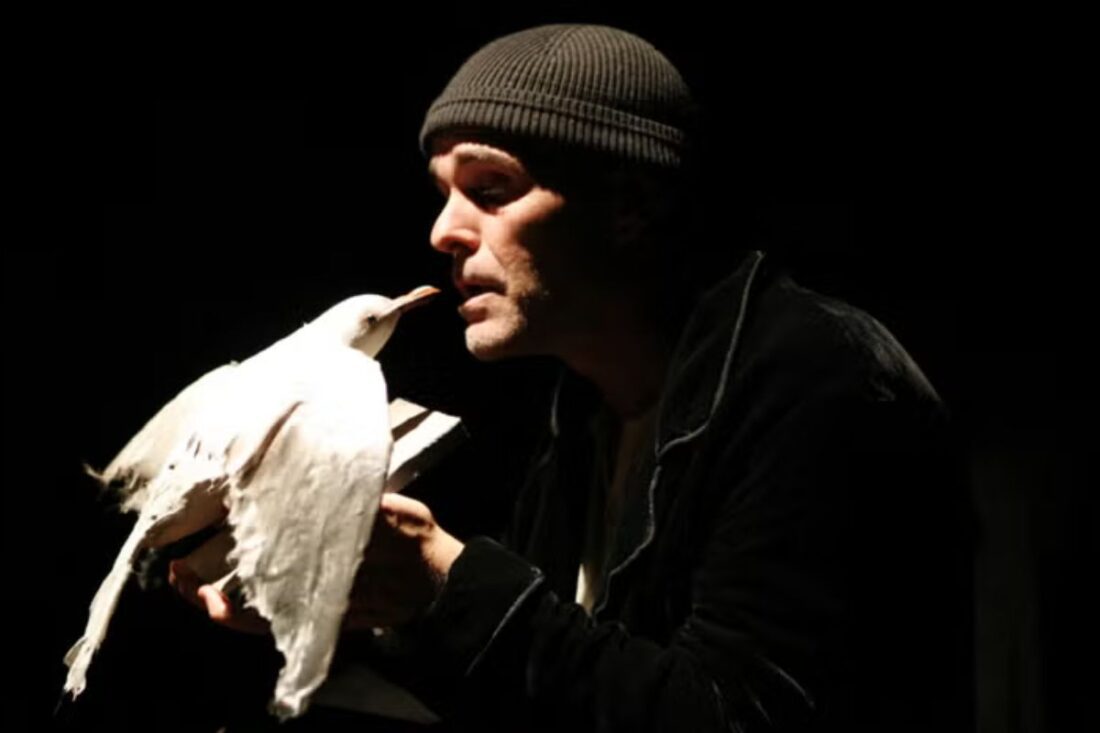 La gaviota - Irina Kouberskaya