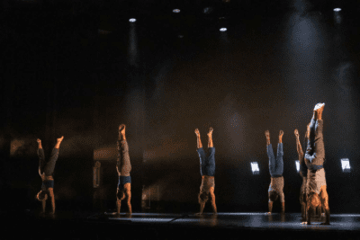 Imagen de Le Complexe de l’Autruche