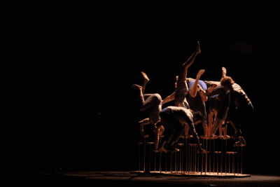 Imagen de Le Complexe de l’Autruche