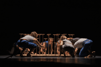 Imagen de Le Complexe de l’Autruche