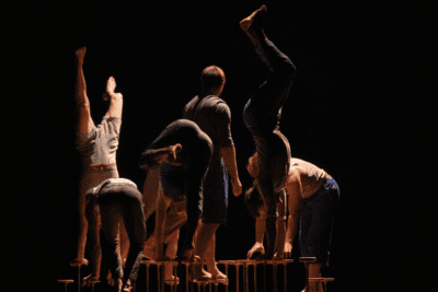 Imagen de Le Complexe de l’Autruche