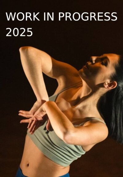 Work In Progress 2025 → Teatro Sala Mirador