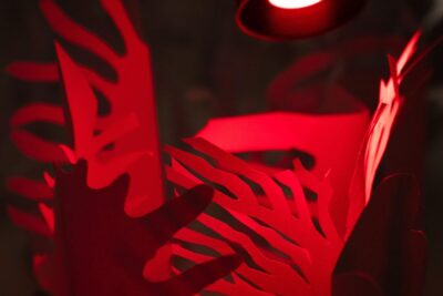 Imagen de actividad Aquí solo hay paisaje.