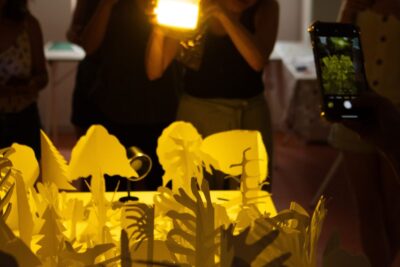 Imagen de actividad Aquí solo hay paisaje.