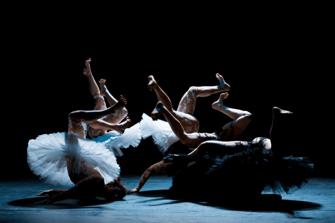 Imagen de Le Lac des cygnes (El lago de los cisnes)