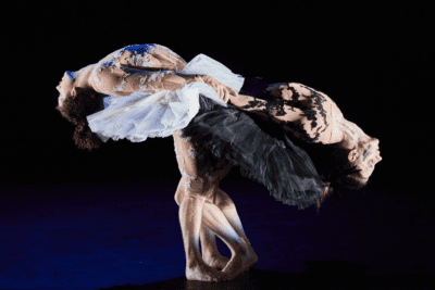 Imagen de Le Lac des cygnes (El lago de los cisnes)