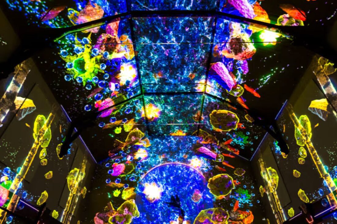 Flow - El Moldava de Smetana