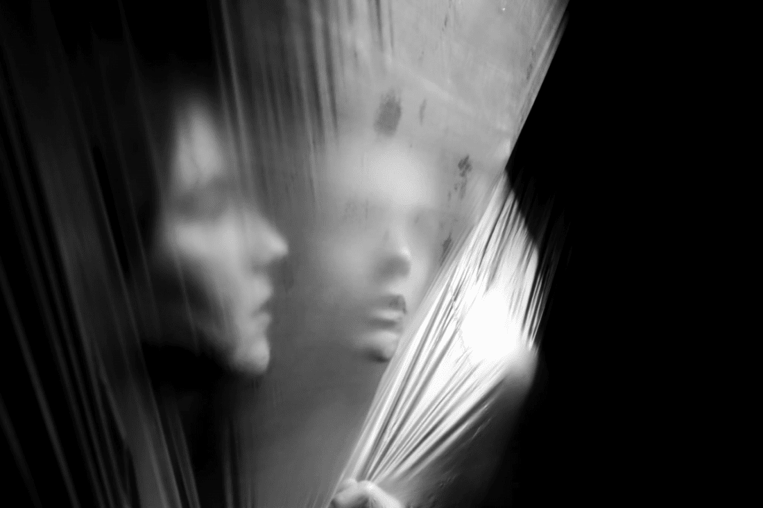 Esto no es un animal