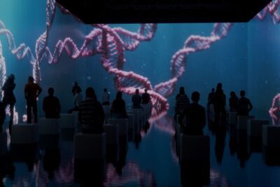 Human Universe