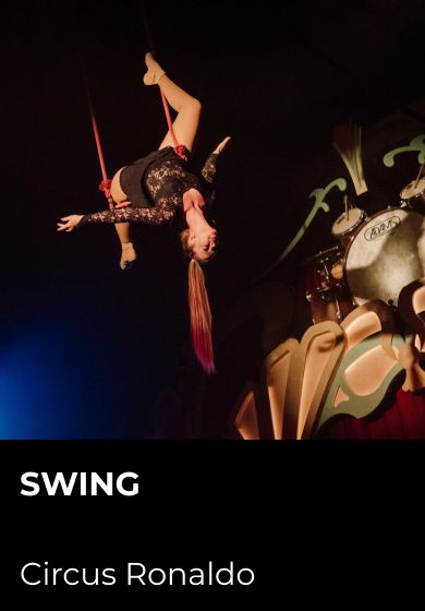 Swing – Circus Ronaldo → Teatro Circo Price