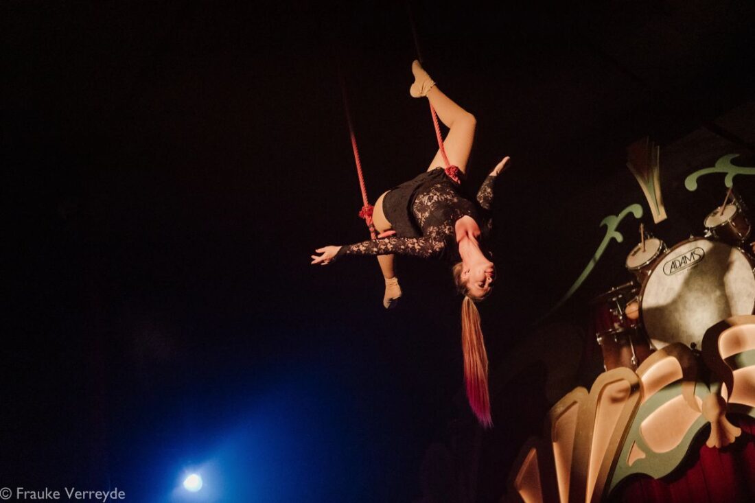 Swing - Circus Ronaldo