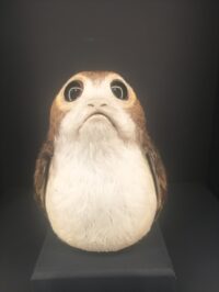 Xenita