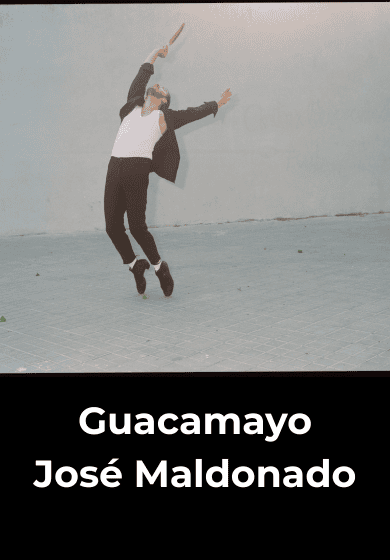 Guacamayo → Teatros del Canal