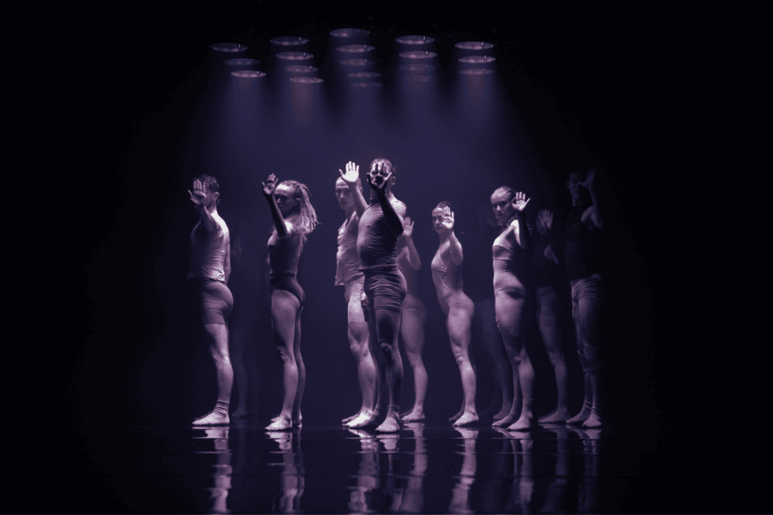momenta - Sydney Dance Company
