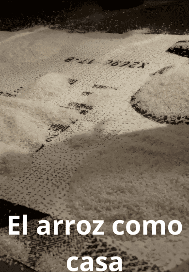 El arroz como casa → Teatros del Canal