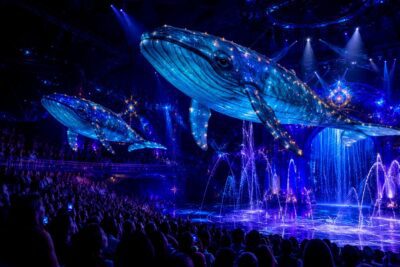 Imagen del Gran Circo del Agua de Circo Alegría.