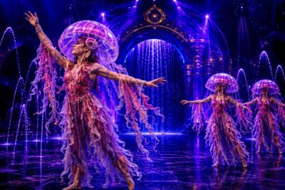 Imagen del Gran Circo del Agua de Circo Alegría.